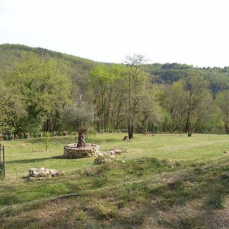 Studio Aux Eyzies Au Coeur De La Vallee De L'Homme Les Eyzies Exteriér fotografie
