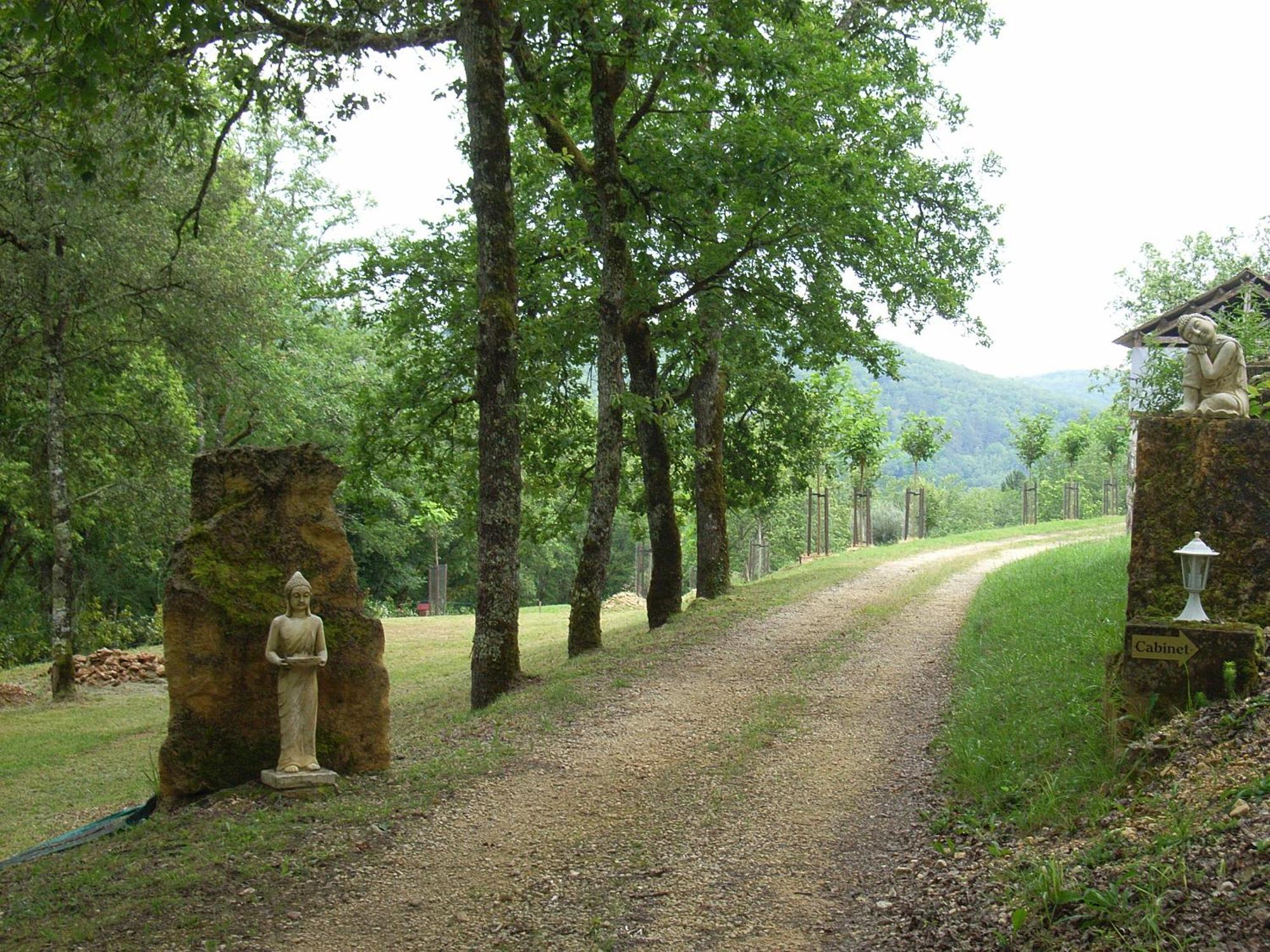 Studio Aux Eyzies Au Coeur De La Vallee De L'Homme Les Eyzies Exteriér fotografie