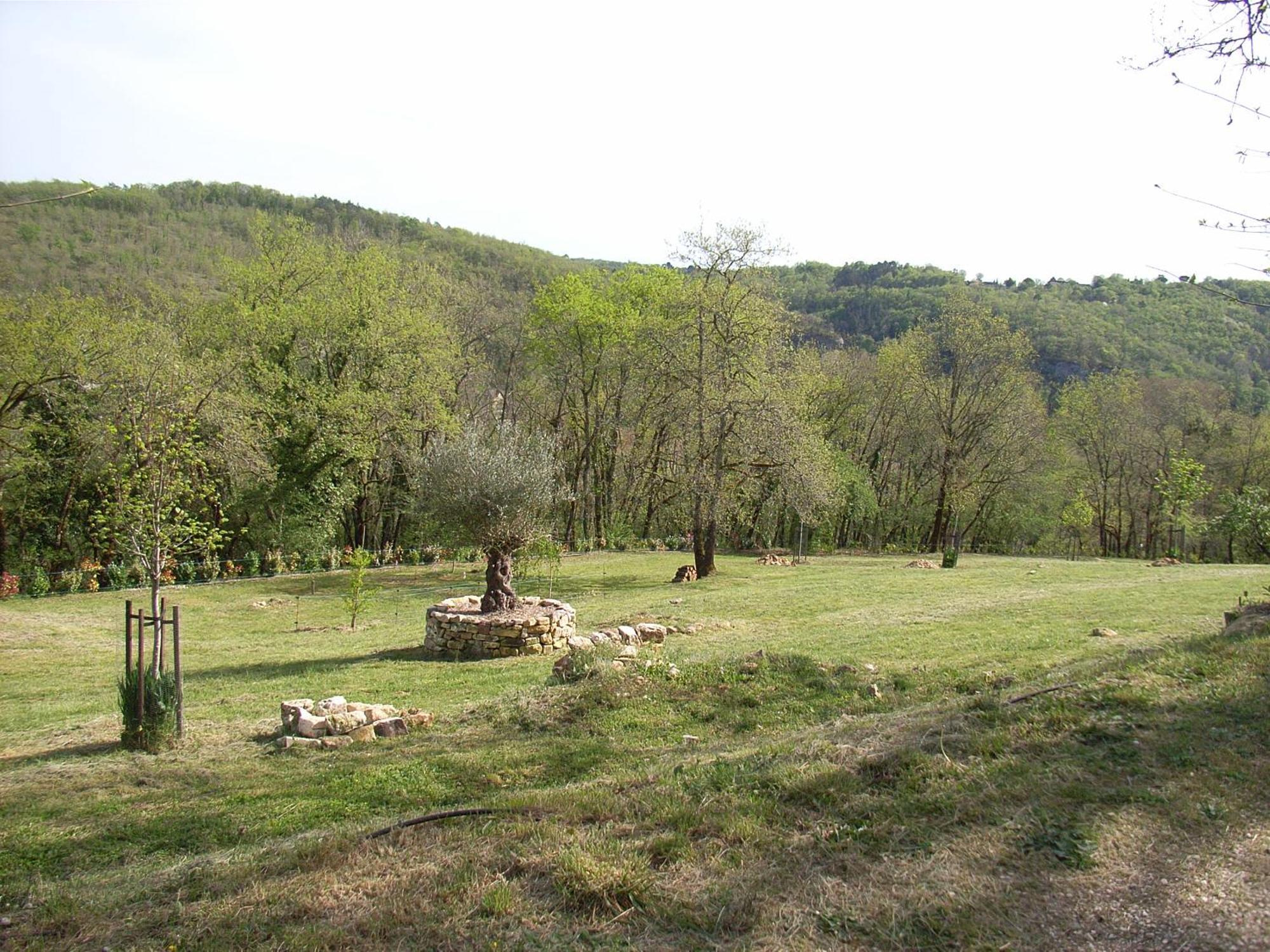 Studio Aux Eyzies Au Coeur De La Vallee De L'Homme Les Eyzies Exteriér fotografie