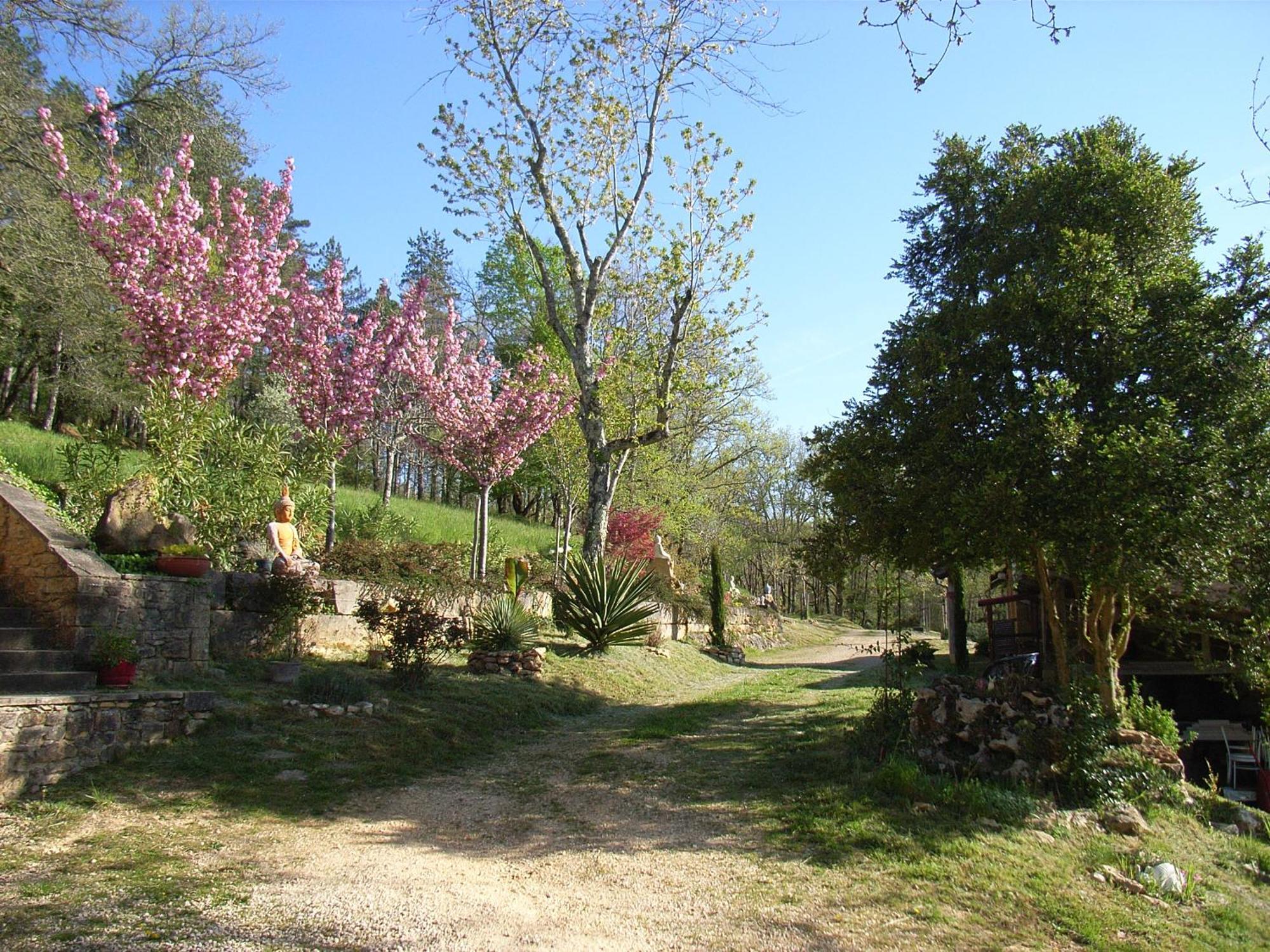 Studio Aux Eyzies Au Coeur De La Vallee De L'Homme Les Eyzies Exteriér fotografie