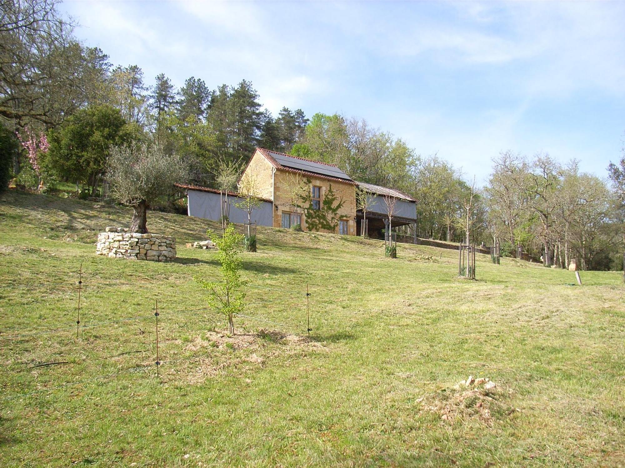 Studio Aux Eyzies Au Coeur De La Vallee De L'Homme Les Eyzies Exteriér fotografie