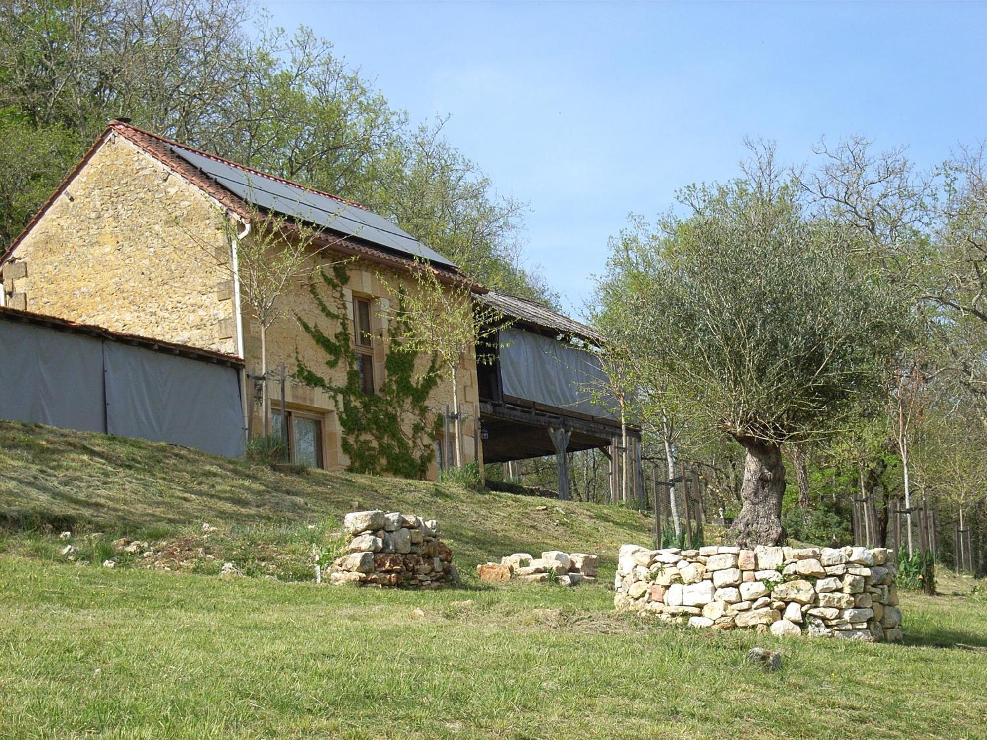 Studio Aux Eyzies Au Coeur De La Vallee De L'Homme Les Eyzies Exteriér fotografie